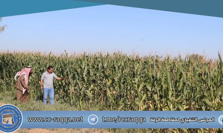 لجنة الأراضي العامة تواصل جهودها لتحقيق الاكتفاء الذاتي في مقاطعة الرقة