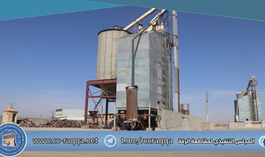 هيئة الاقتصاد والزراعة تطلق عملية تجفيف الذرة الصفراء في الرقة لدعم المزارعين