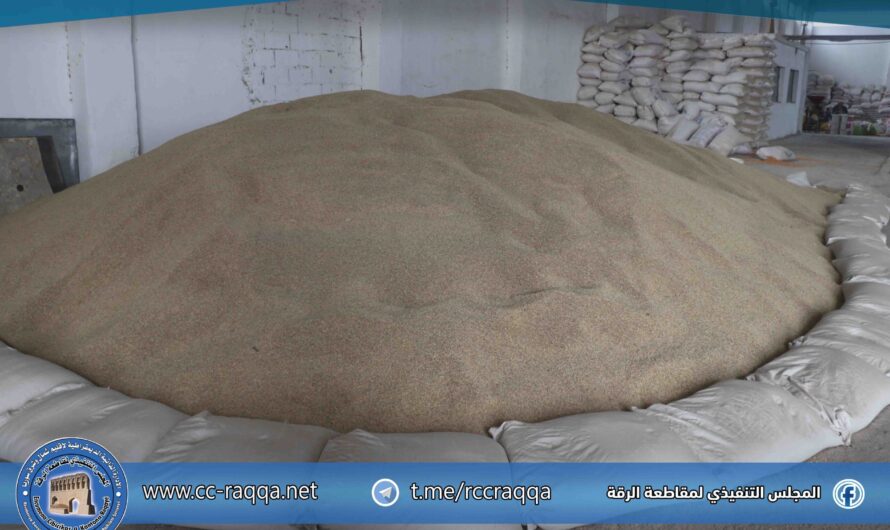 تعاونية “معمل الأعلاف روز” بالرقة تدعم السوق المحلية وتشغّل 24 عائلة