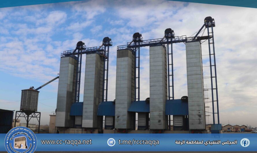 مجفف الذرة الصفراء يعزز خدمة الفلاحين بطاقة إنتاجية تصل إلى 600 طن يومياً