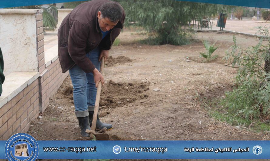 العمل على إعادة تأهيل وتشجير حديقة “الشهيدة كرم”