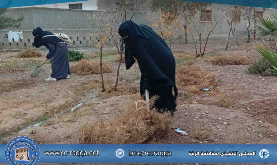 مبادرة مجتمعية لتأهيل حدائق المنصورة وزراعة الأشجار بدعم من برنامج “تحسين 2”