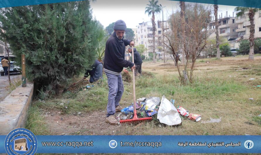 أعمال تأهيل وتنظيف لحديقة فرعية شرق الحديقة المرورية