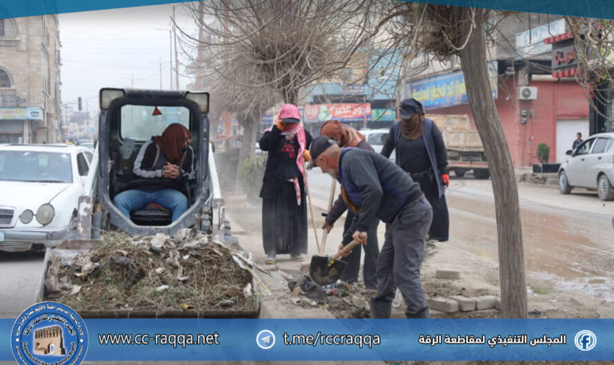 إجراء بعض عمليات التنظيف وتقليم وتحويض الأشجار ضمن شارع هشام بن عبد الملك