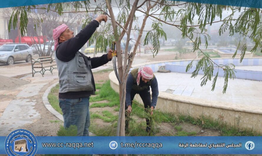 دائرة الحدائق تجري بعض الأعمال الخدمية ضمن طريق حلب
