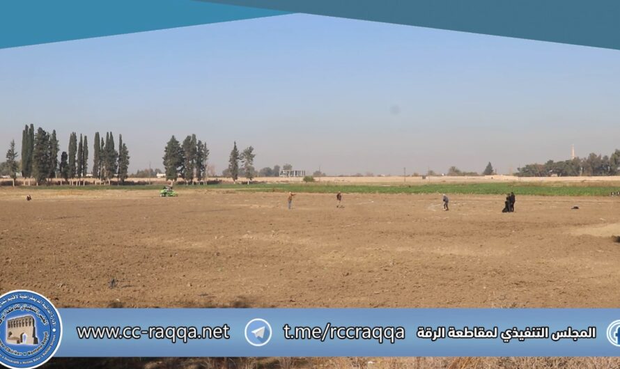 تجارب بحثية لتطوير أصناف قمح مقاومة للتحديات استعداداً لموسم 2026