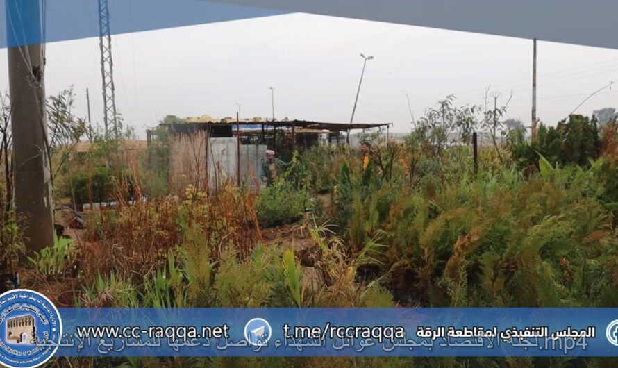 لجنة الاقتصاد بمجلس عوائل الشهداء تواصل دعمها للمشاريع الإنتاجية